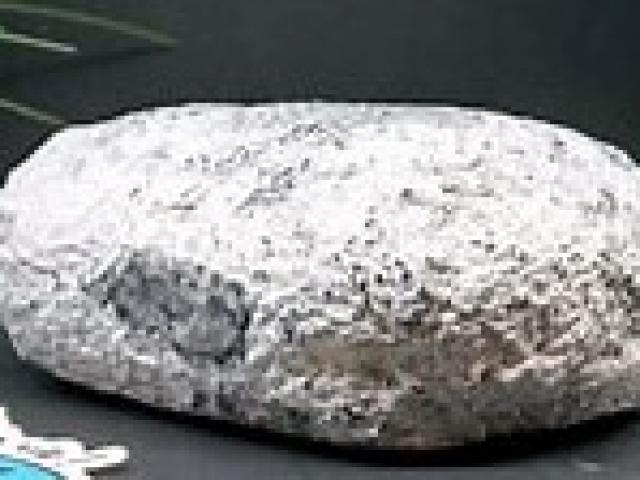 Le Galet d'Albâtre fromage au lait cru, de la chèvrerie Saint Cosme 